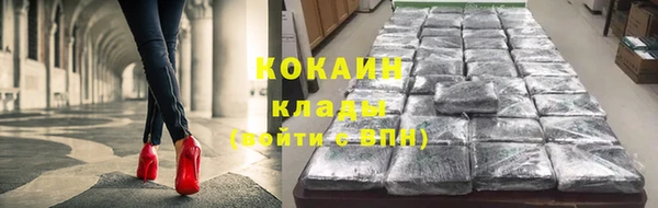 ГАЛЛЮЦИНОГЕННЫЕ ГРИБЫ Абаза