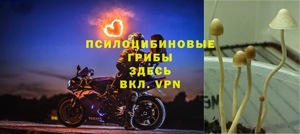 трава Нея