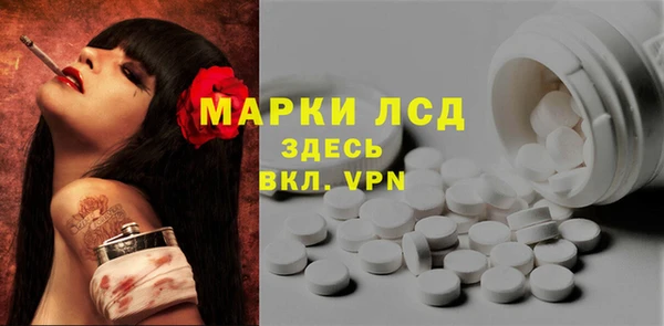 ГАЛЛЮЦИНОГЕННЫЕ ГРИБЫ Абаза