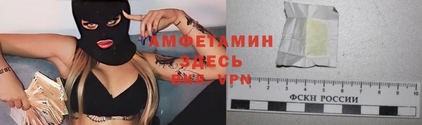 ГАЛЛЮЦИНОГЕННЫЕ ГРИБЫ Абаза