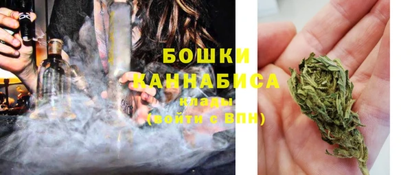 ГАЛЛЮЦИНОГЕННЫЕ ГРИБЫ Абаза