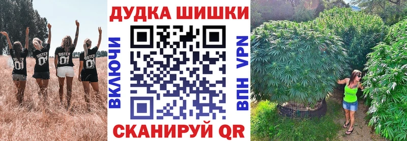 наркотики  Агрыз  Бошки Шишки ГИДРОПОН 